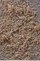 wood chips texture