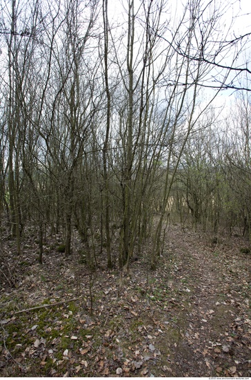 Background Forests