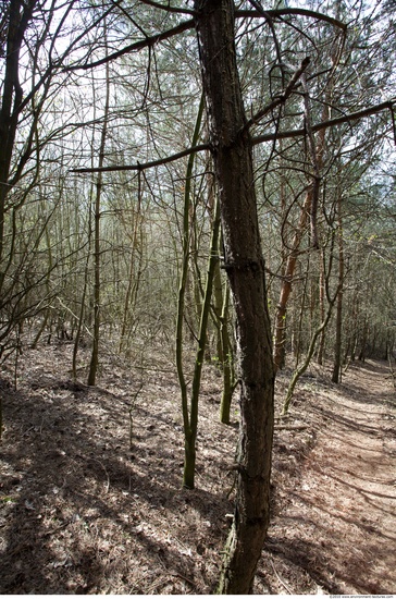 Background Forests