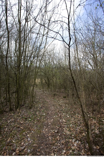 Background Forests