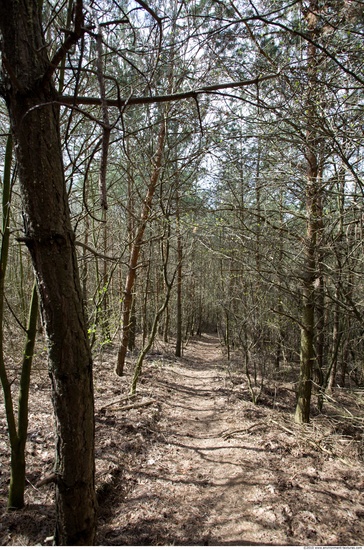 Background Forests