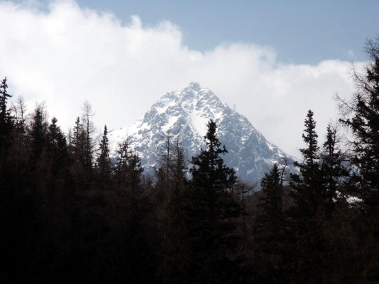 Snowy Mountains