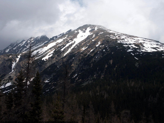 Graffiti Snowy Mountains