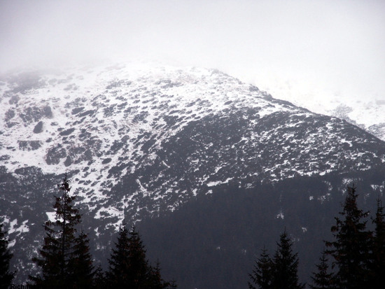 Snowy Mountains