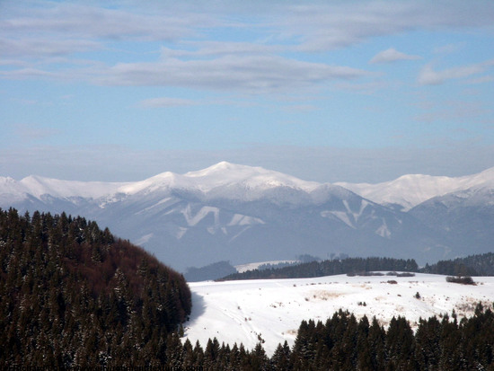 Snowy Mountains