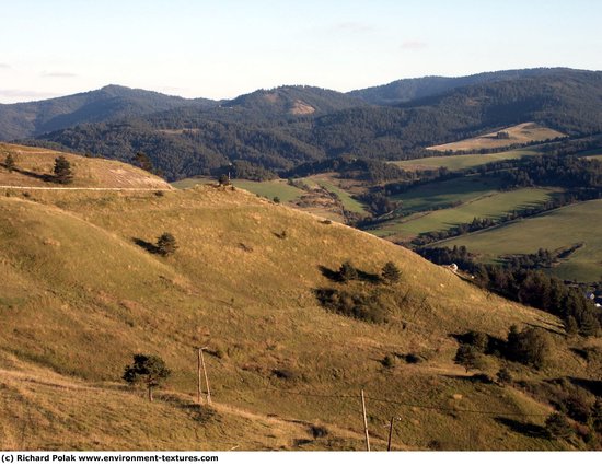 Background Forests