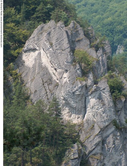 Cliffs Overgrown Rock