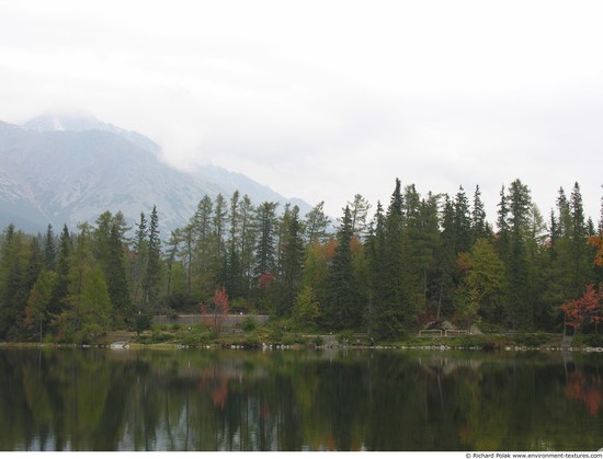 Background Forests