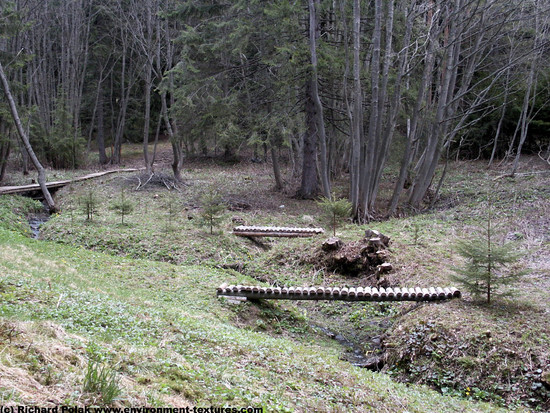 Background Forests