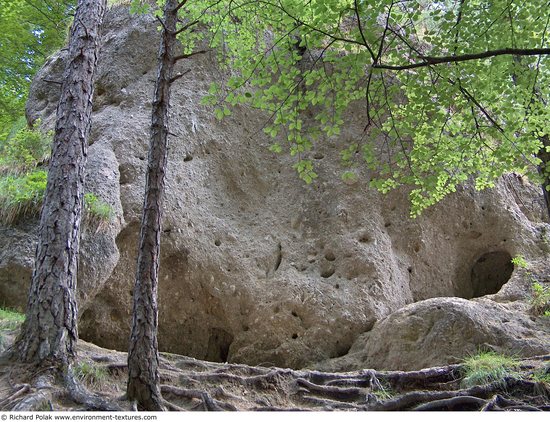 Background Forests