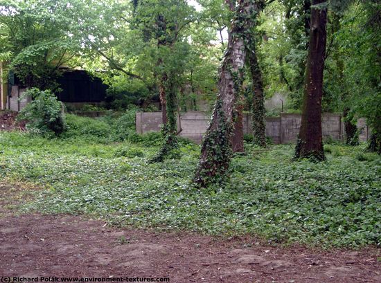 Background Forests