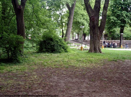 Background Forests