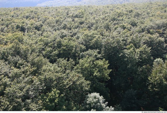 Background Forests