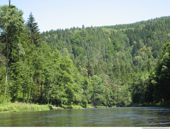 Background Forests