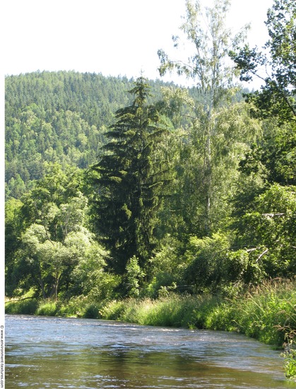 Background Forests