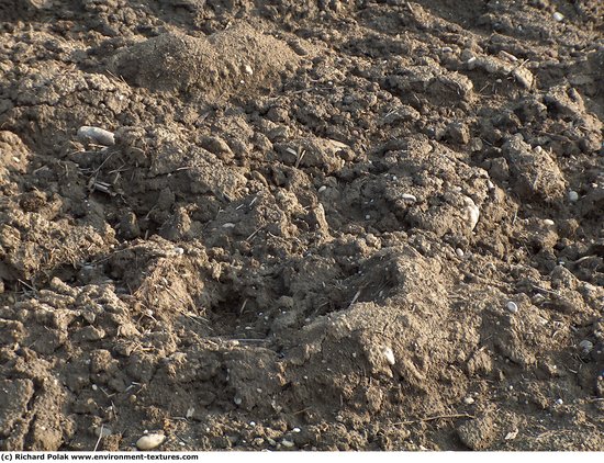 Rough Soil