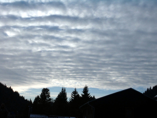 Blue Clouded Skies