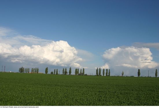 Blue Clouded Skies