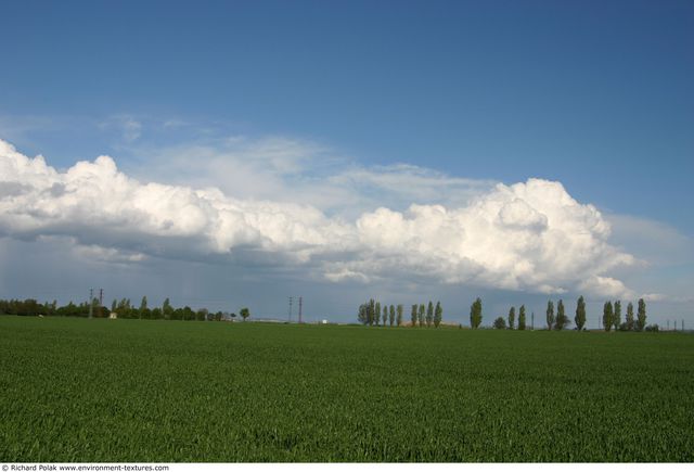 Blue Clouded Skies