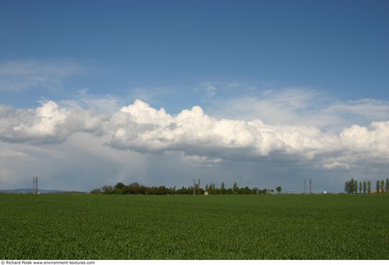 Blue Clouded Skies