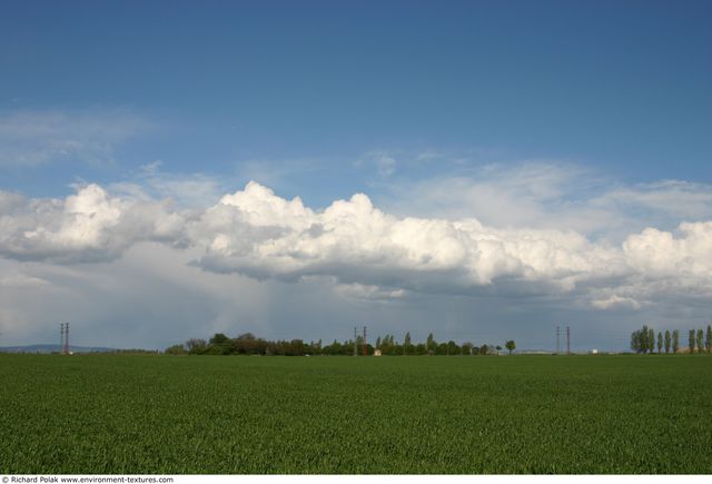 Blue Clouded Skies