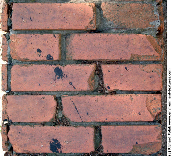 Wall Bricks Old