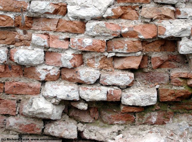 Wall Bricks Damaged