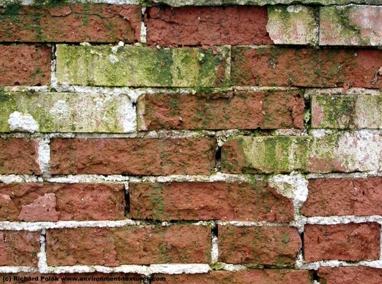 Wall Bricks Damaged