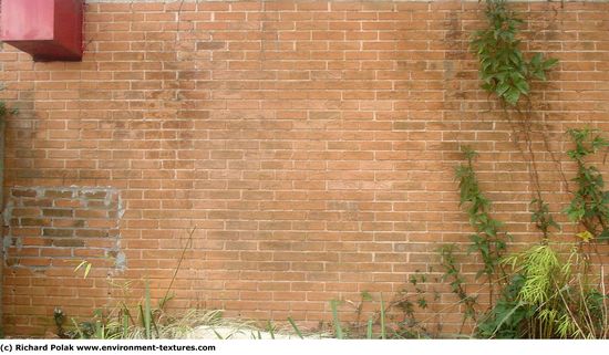 Wall Bricks Damaged