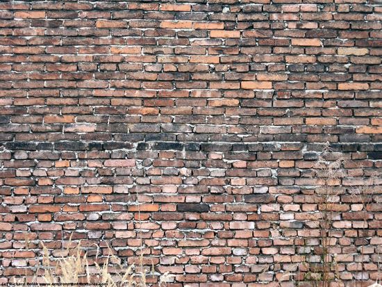 Wall Bricks Damaged