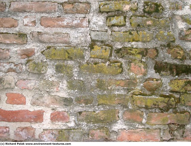 Wall Bricks Damaged