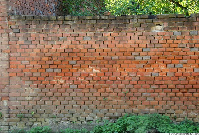 Wall Bricks Damaged