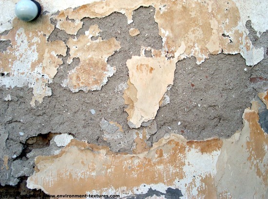 Walls Plaster Damaged