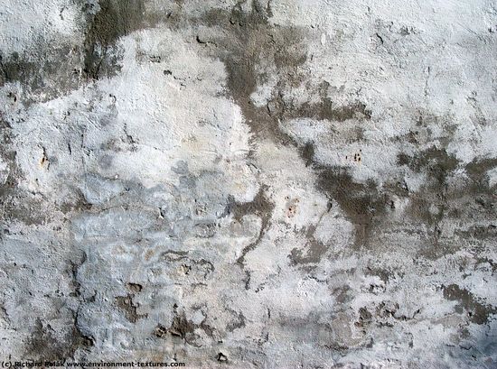 Walls Plaster Damaged