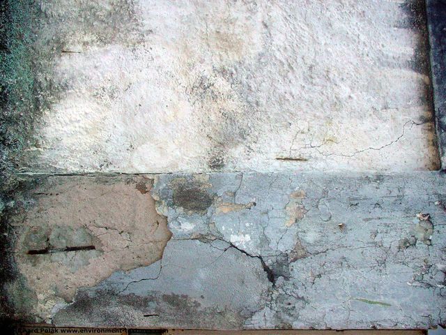 Walls Plaster Damaged