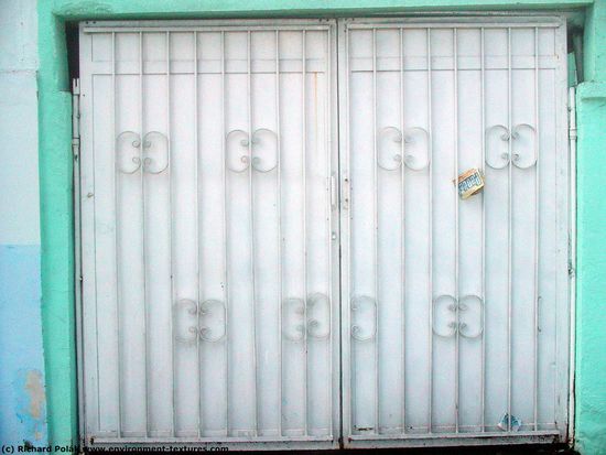 Ornate Metal Doors