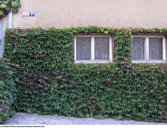 Hedges