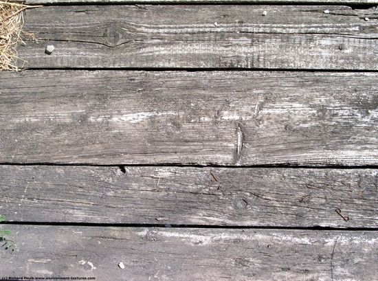 Bare Planks Wood