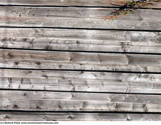 Bare Planks Wood