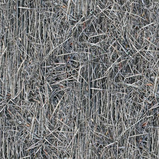 Seamless Grass