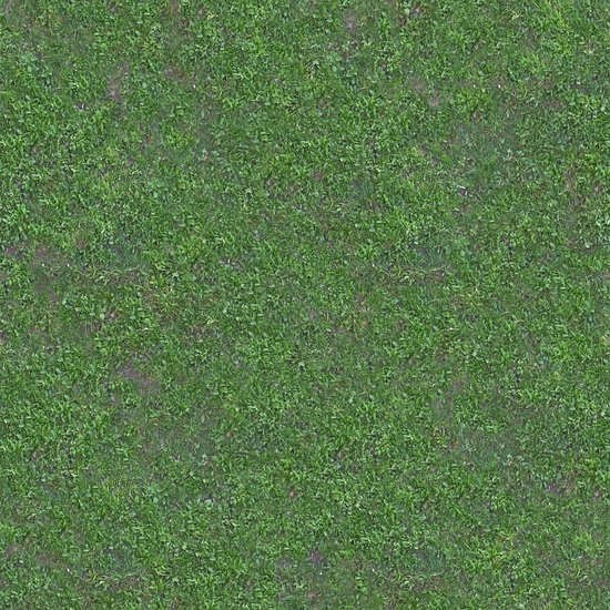 Seamless Grass