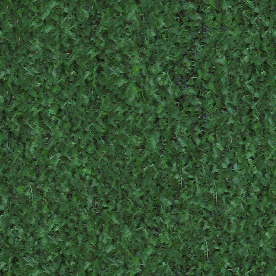 Seamless Grass