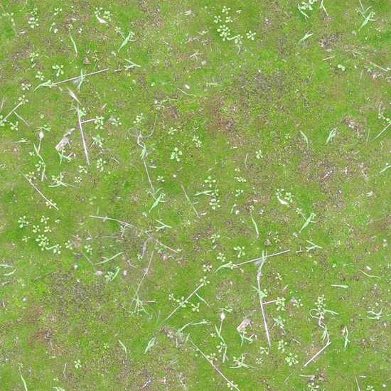 Seamless Grass