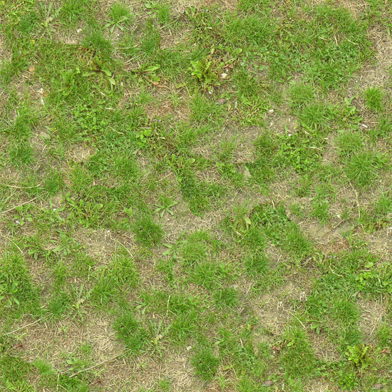 Seamless Grass