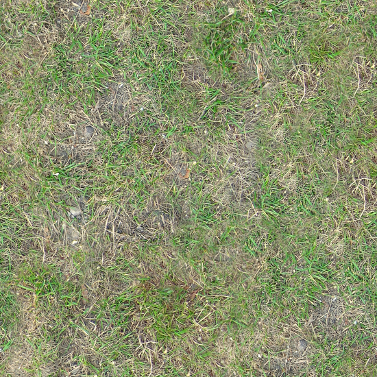 Seamless Grass