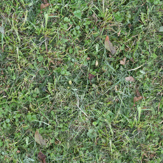 Seamless Grass