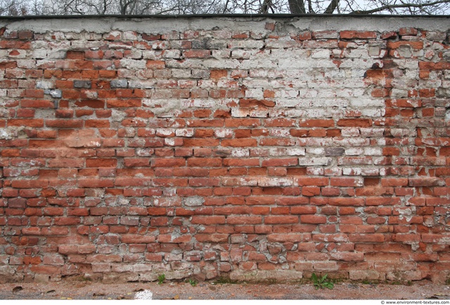 Wall Bricks Damaged