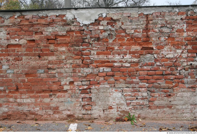 Wall Bricks Damaged