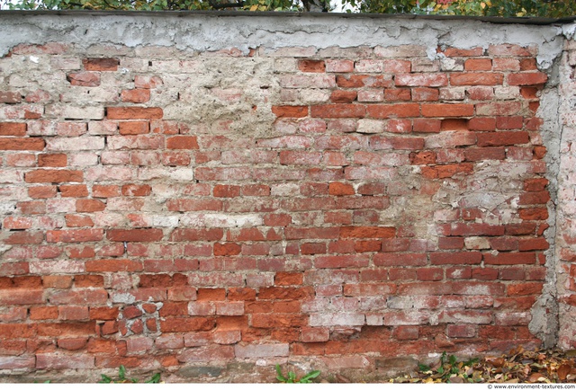 Wall Bricks Damaged