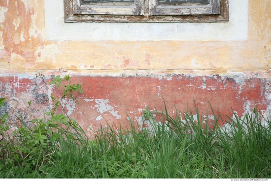 Wall Plaster Paint Peeling